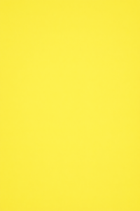 Bright yellow solid color background